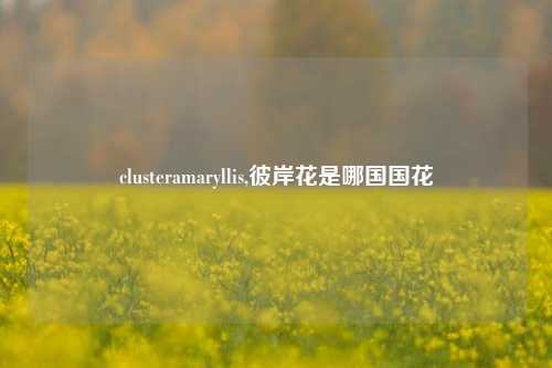 clusteramaryllis,彼岸花是哪国国花