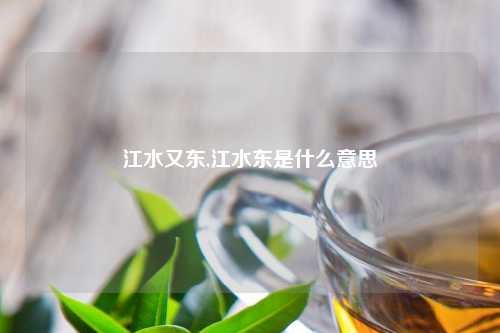 江水又东,江水东是什么意思