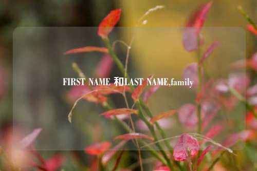 FIRST NAME 和LAST NAME,family