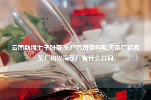 云南勐海七子饼茶,生产普洱茶的勐海茶厂福海茶厂和兴海茶厂有什么异同