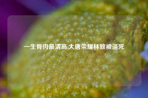 一生骨肉最清高,大唐荣耀林致被逼死