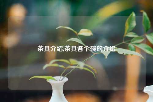 茶具介绍,茶具各个碗的介绍