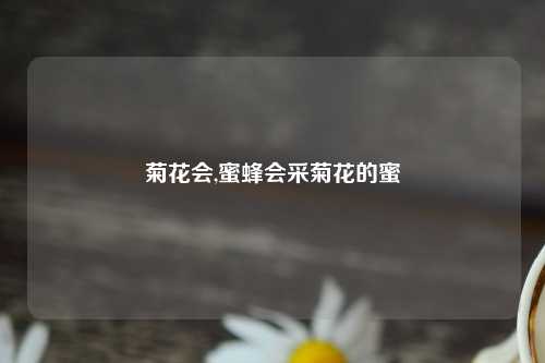 菊花会,蜜蜂会采菊花的蜜