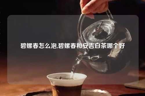 碧螺春怎么泡,碧螺春和安吉白茶哪个好