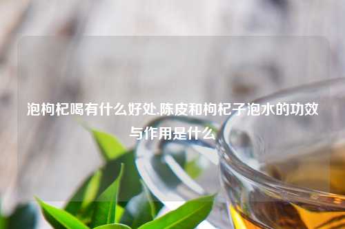 泡枸杞喝有什么好处,陈皮和枸杞子泡水的功效与作用是什么