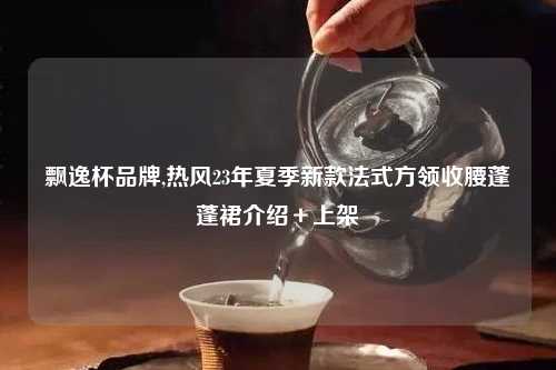 飘逸杯品牌,热风23年夏季新款法式方领收腰蓬蓬裙介绍＋上架