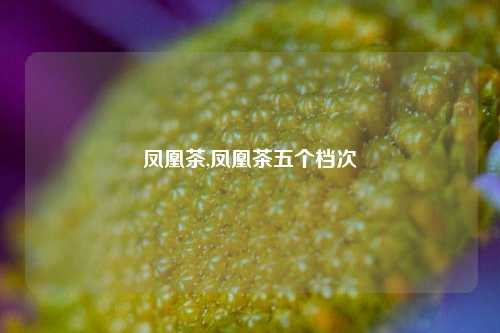 凤凰茶,凤凰茶五个档次