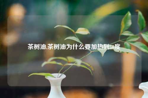 茶树油,茶树油为什么要加热到80度