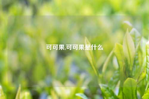 可可果,可可果是什么