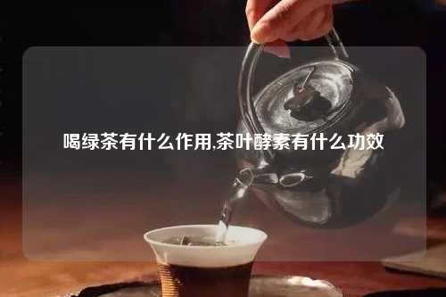 喝绿茶有什么作用,茶叶酵素有什么功效
