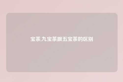 宝茶,九宝茶跟五宝茶的区别