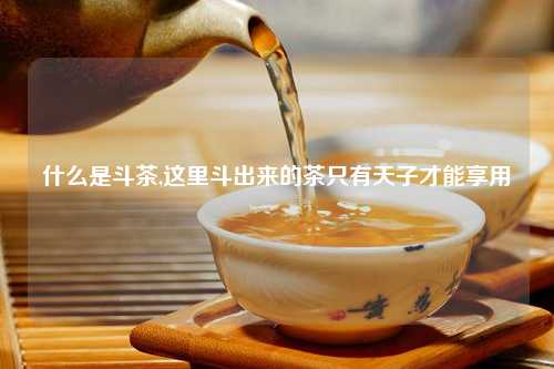 什么是斗茶,这里斗出来的茶只有天子才能享用