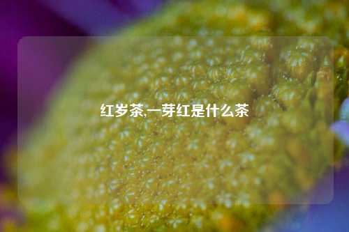 红岁茶,一芽红是什么茶