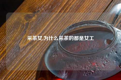 采茶女,为什么采茶的都是女工