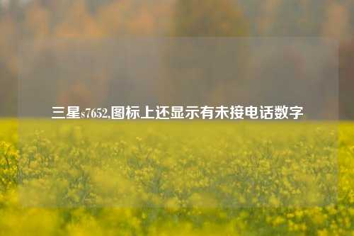 三星s7652,图标上还显示有未接电话数字