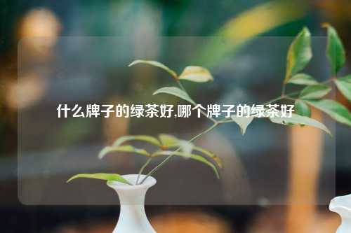 什么牌子的绿茶好,哪个牌子的绿茶好