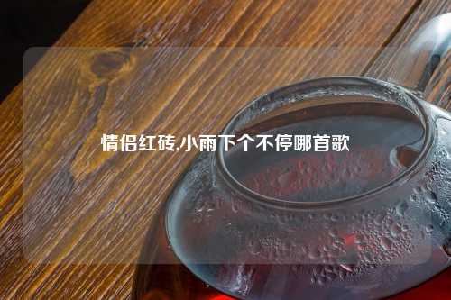 情侣红砖,小雨下个不停哪首歌