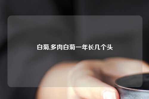 白菊,多肉白菊一年长几个头