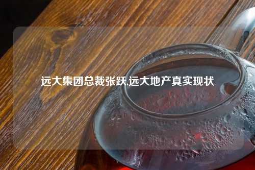 远大集团总裁张跃,远大地产真实现状