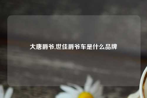 大唐爵爷,世佳爵爷车是什么品牌