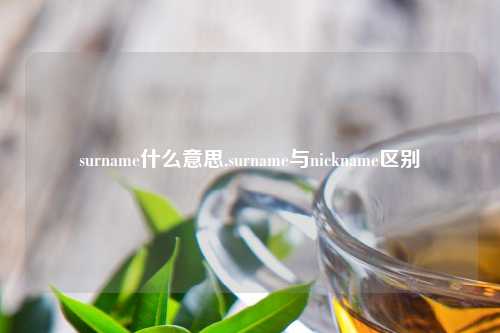 surname什么意思,surname与nickname区别