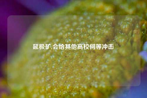 延极矿,会给其他高校何等冲击