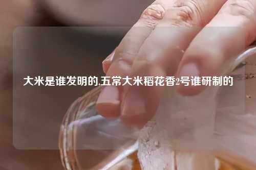 大米是谁发明的,五常大米稻花香2号谁研制的
