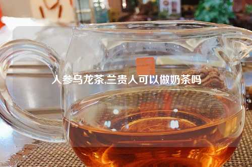 人参乌龙茶,兰贵人可以做奶茶吗