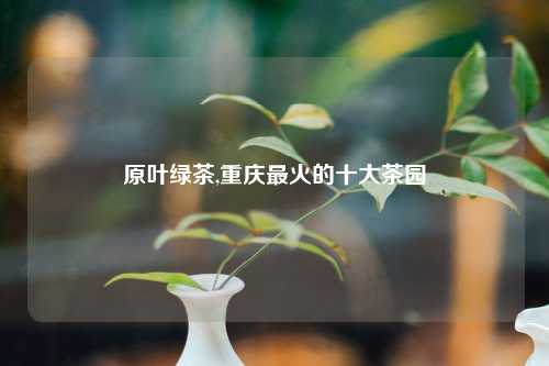 原叶绿茶,重庆最火的十大茶园