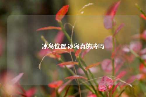 冰岛位置,冰岛真的冷吗