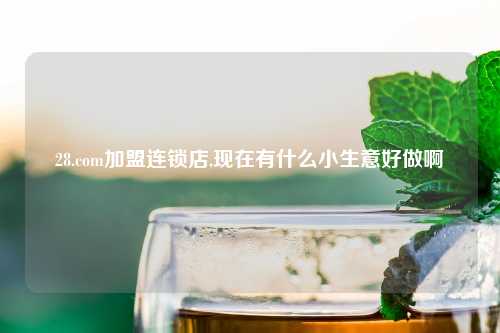 28.com加盟连锁店,现在有什么小生意好做啊