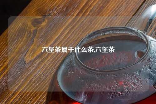 六堡茶属于什么茶,六堡茶