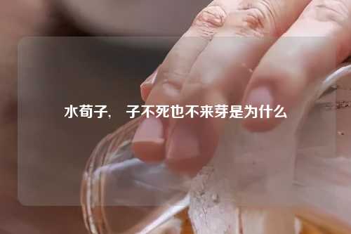 水荀子,栒子不死也不来芽是为什么