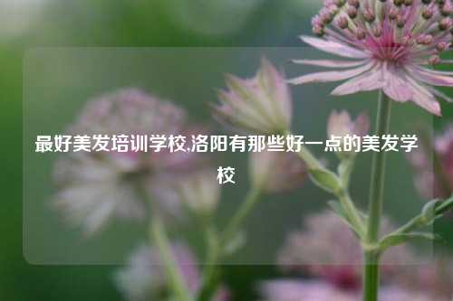 最好美发培训学校,洛阳有那些好一点的美发学校