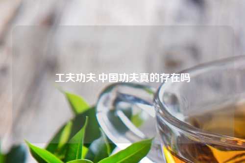 工夫功夫,中国功夫真的存在吗