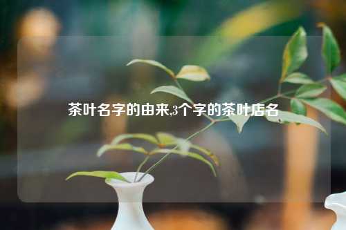 茶叶名字的由来,3个字的茶叶店名