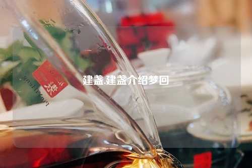 建盏,建盏介绍梦回