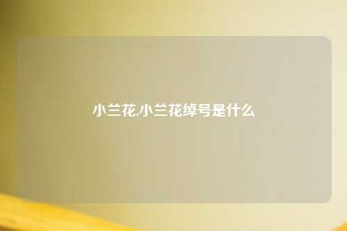小兰花,小兰花绰号是什么