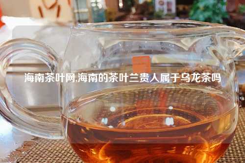 海南茶叶网,海南的茶叶兰贵人属于乌龙茶吗