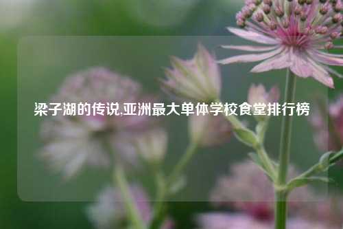 梁子湖的传说,亚洲最大单体学校食堂排行榜