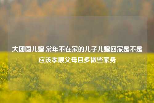 大团圆儿媳,常年不在家的儿子儿媳回家是不是应该孝顺父母且多做些家务