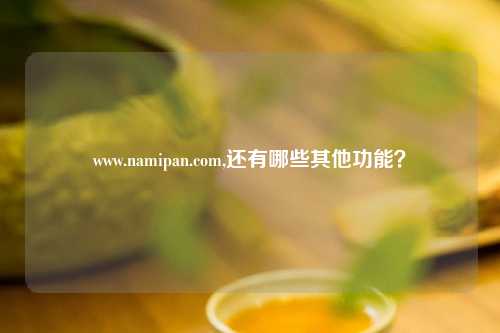 www.namipan.com,还有哪些其他功能？
