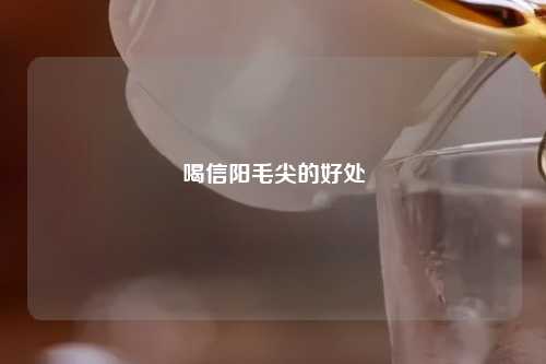 喝信阳毛尖的好处