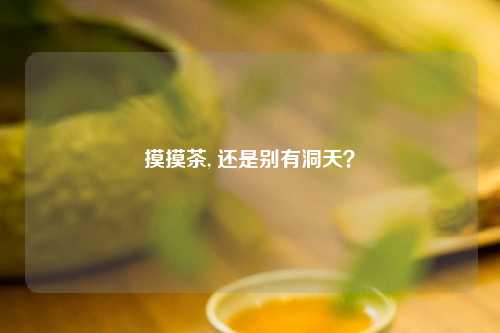 摸摸茶, 还是别有洞天？