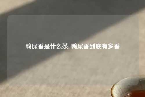 鸭屎香是什么茶, 鸭屎香到底有多香