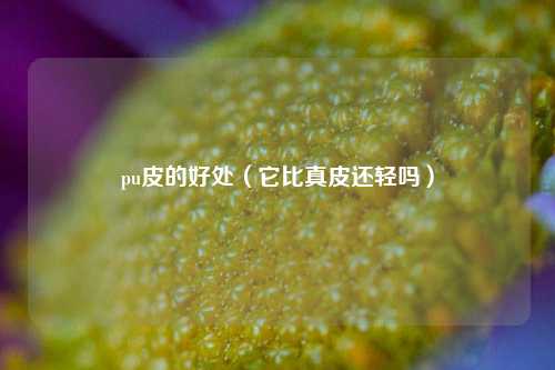 pu皮的好处（它比真皮还轻吗）