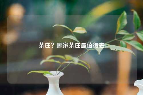 茶庄？哪家茶庄最值得去