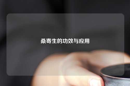 桑寄生的功效与应用