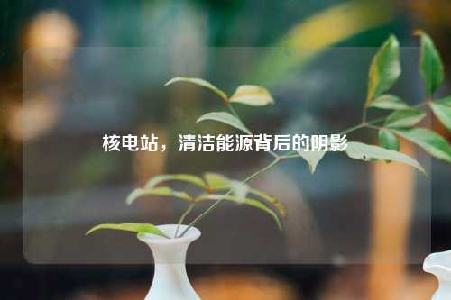 核电站，清洁能源背后的阴影