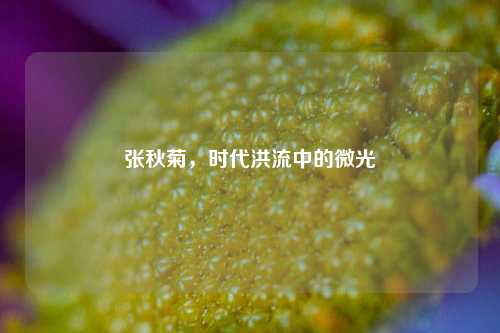 张秋菊，时代洪流中的微光
